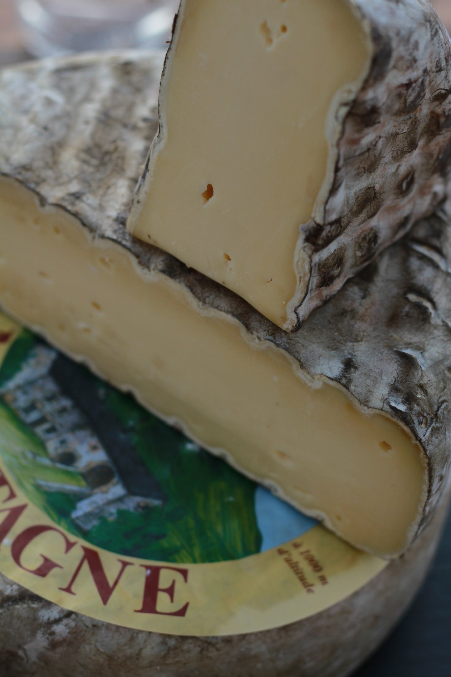 Tomme de montagne