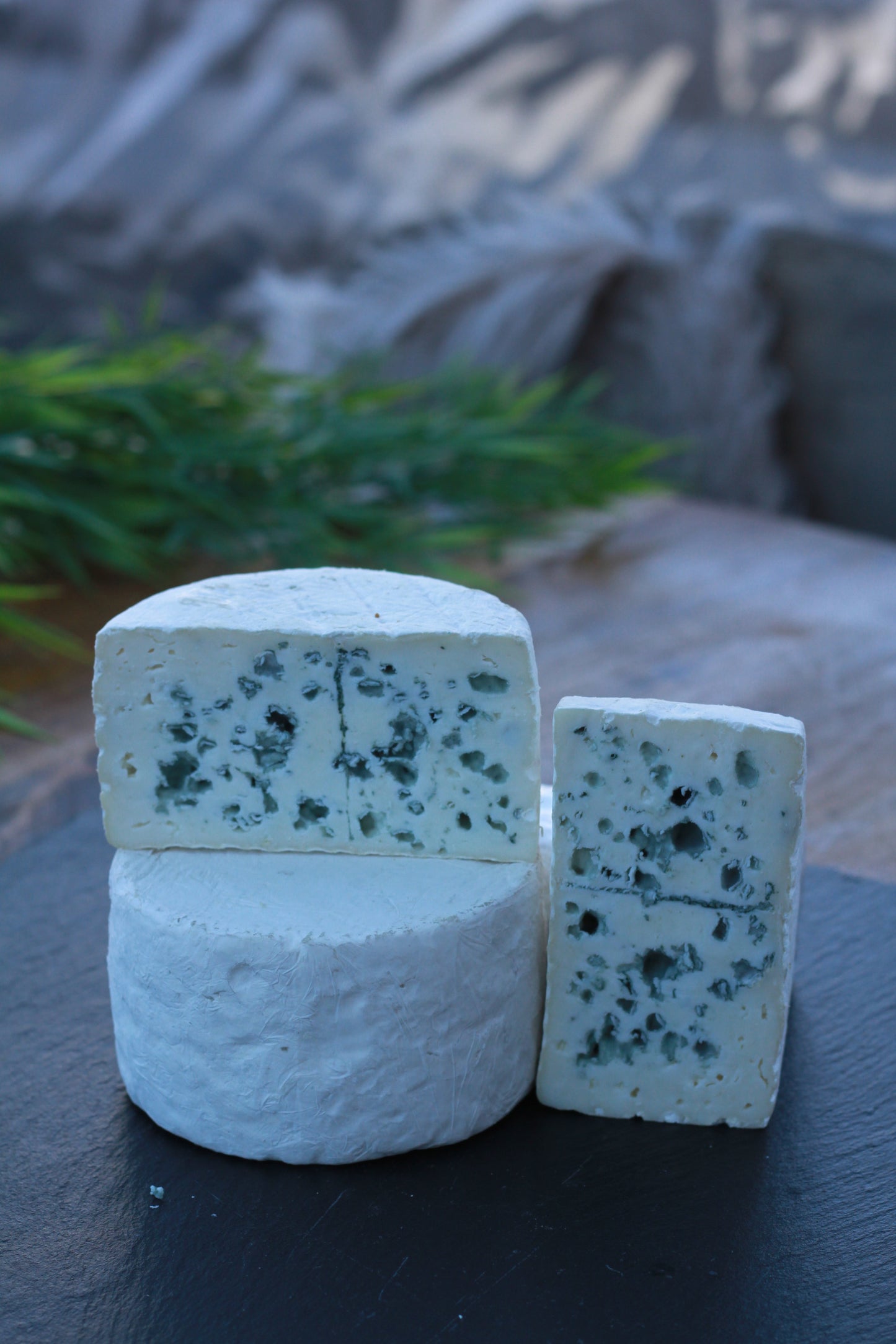Bleu de chèvre