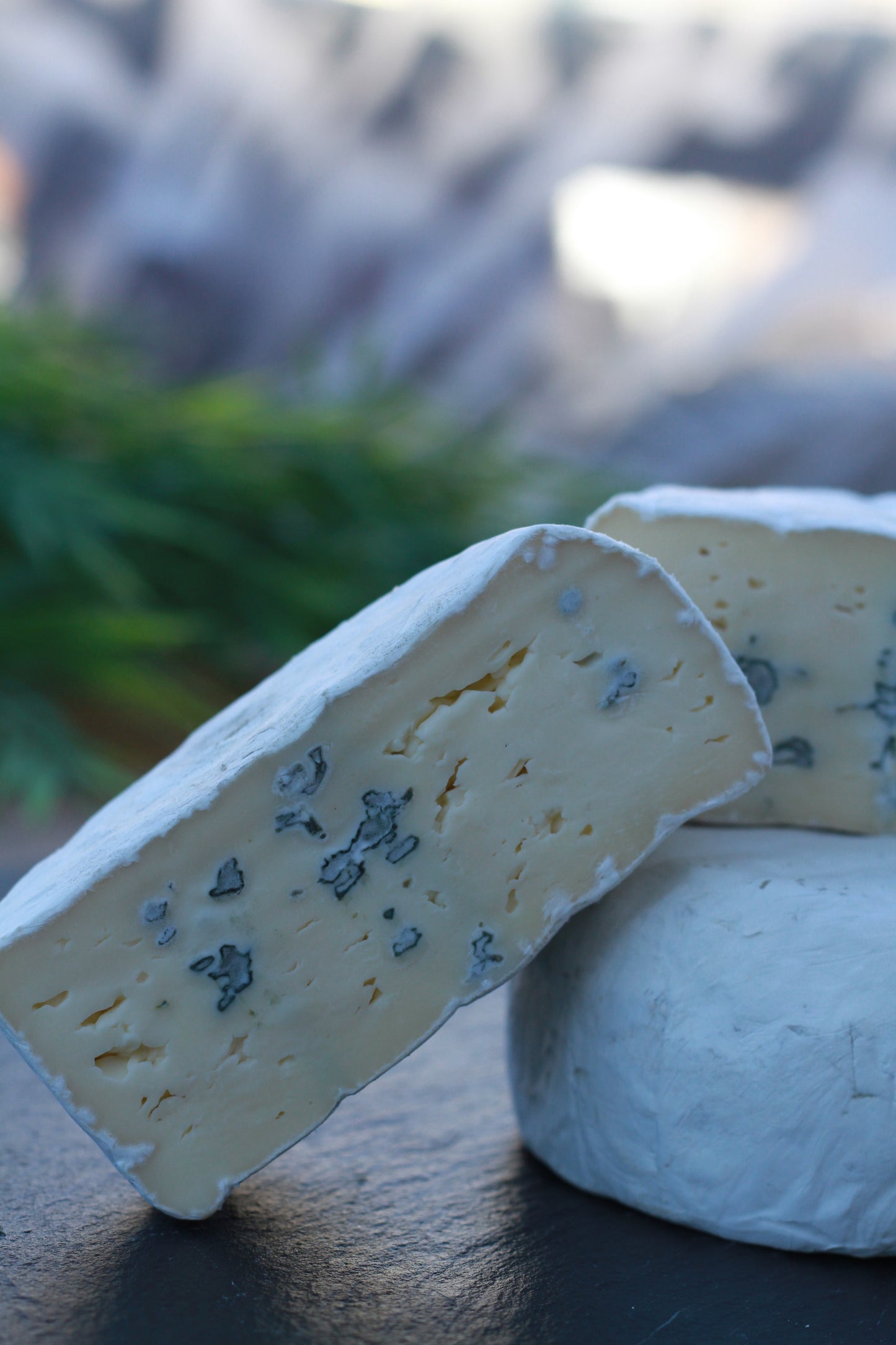 Bleu doux de vache