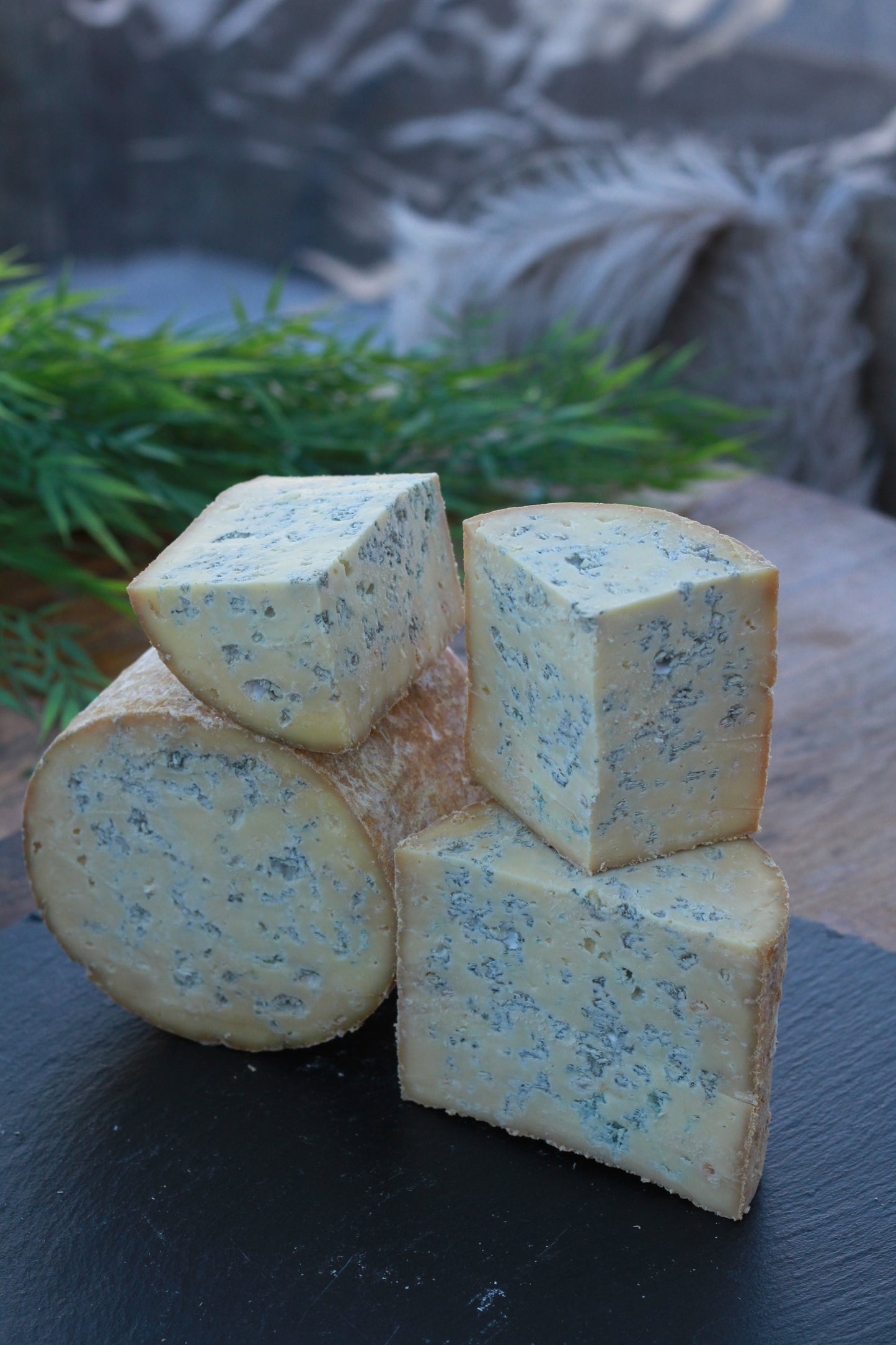 Fourme de Montbrison AOP
