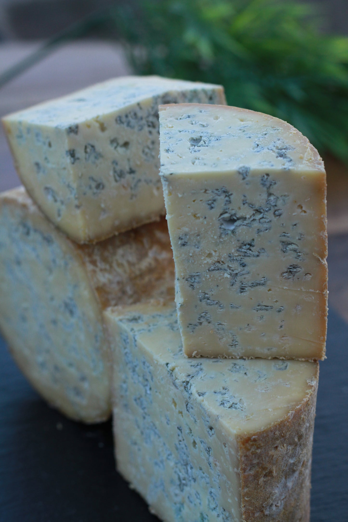 Fourme de Montbrison AOP
