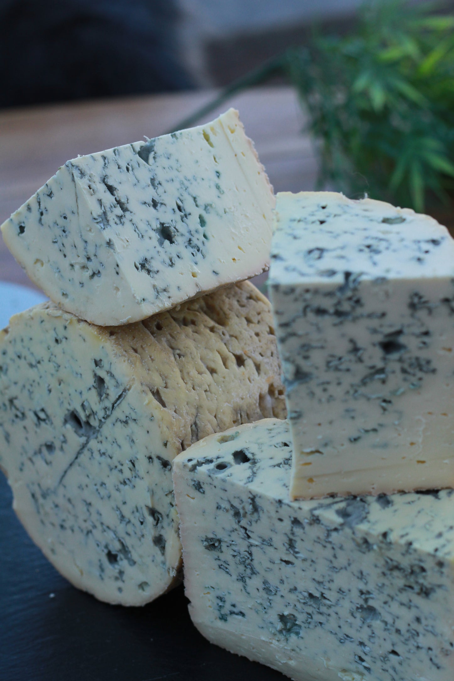 Fourme d'Ambert AOP