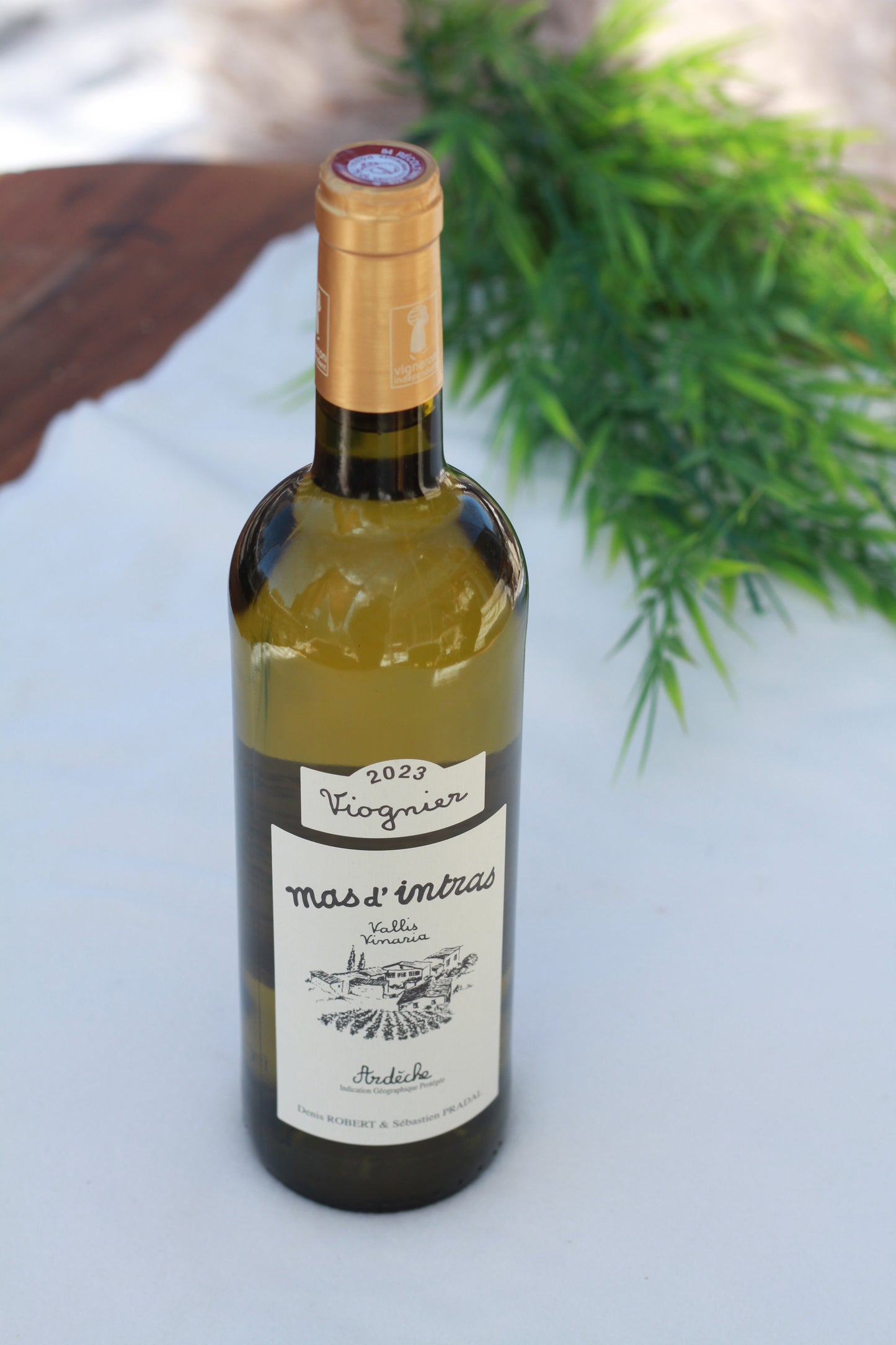 Mas d’Intras Viognier 75 cl