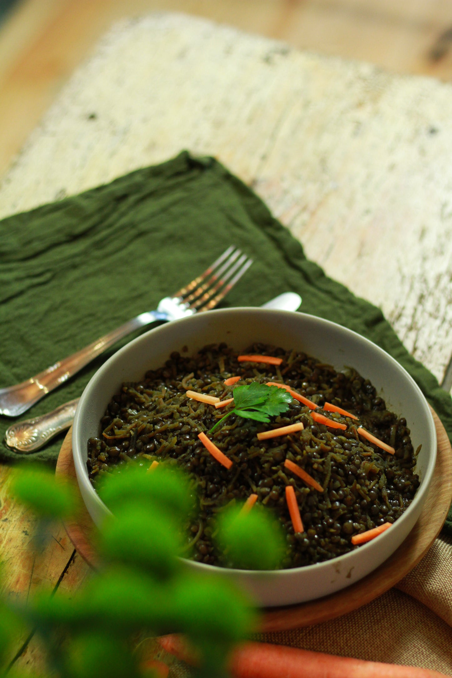 BIOMILIA - Lentilles Carottes, Mujaddara